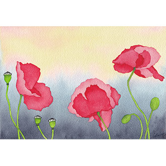 Aquarelle fleurs, pavot, coquelicot, rouge, serie Pavots Arc en Ciel, CatMat, Catherine Mathon